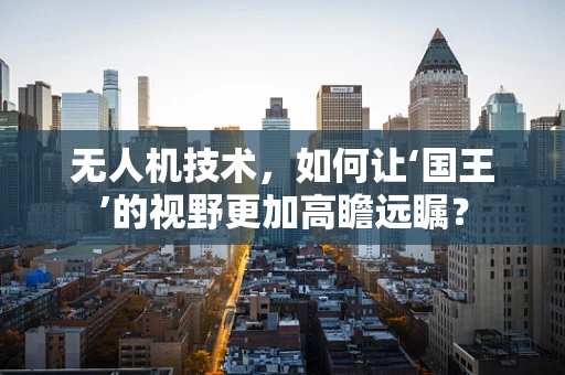 无人机技术，如何让‘国王’的视野更加高瞻远瞩？