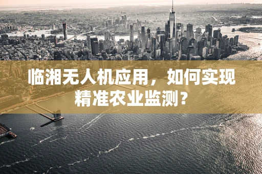 临湘无人机应用，如何实现精准农业监测？