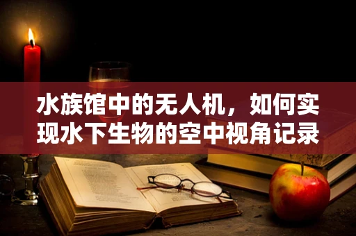 水族馆中的无人机，如何实现水下生物的空中视角记录？