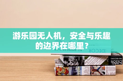 游乐园无人机，安全与乐趣的边界在哪里？