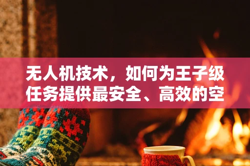 无人机技术，如何为王子级任务提供最安全、高效的空中支援？