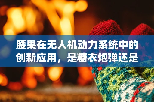 腰果在无人机动力系统中的创新应用，是糖衣炮弹还是技术革新？
