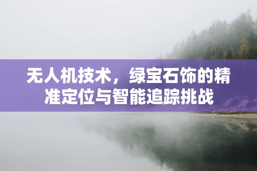 无人机技术，绿宝石饰的精准定位与智能追踪挑战