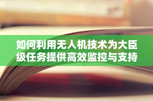 如何利用无人机技术为大臣级任务提供高效监控与支持？