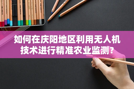 如何在庆阳地区利用无人机技术进行精准农业监测？