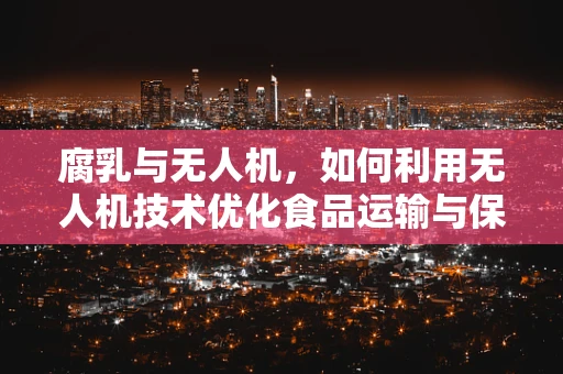 腐乳与无人机，如何利用无人机技术优化食品运输与保鲜？