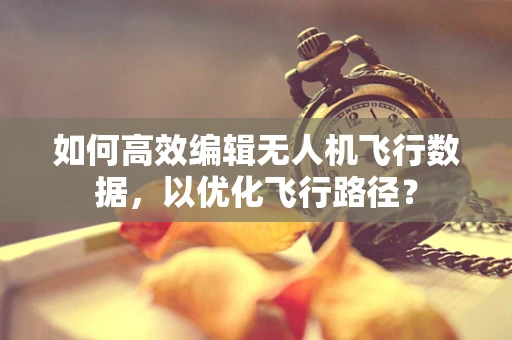 如何高效编辑无人机飞行数据，以优化飞行路径？