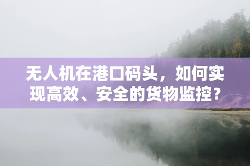 无人机在港口码头，如何实现高效、安全的货物监控？