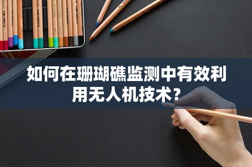 如何在珊瑚礁监测中有效利用无人机技术？