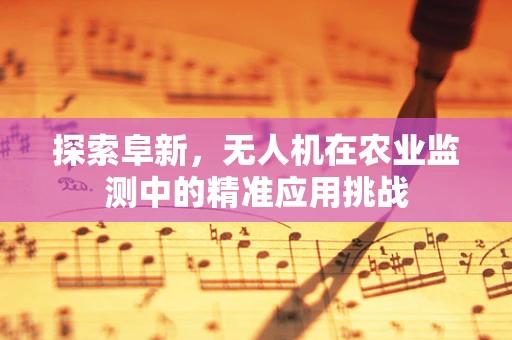 探索阜新，无人机在农业监测中的精准应用挑战