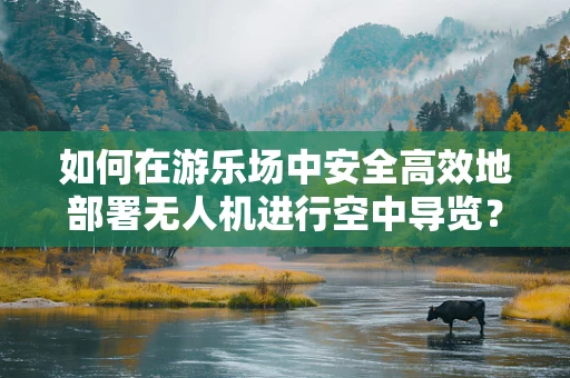 如何在游乐场中安全高效地部署无人机进行空中导览？