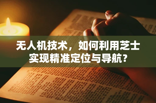 无人机技术，如何利用芝士实现精准定位与导航？