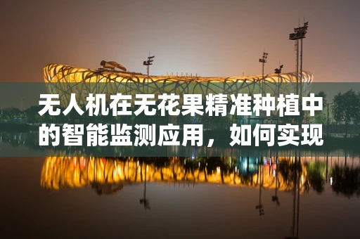 无人机在无花果精准种植中的智能监测应用，如何实现高效病虫害监控？
