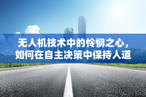 无人机技术中的怜悯之心，如何在自主决策中保持人道考量？