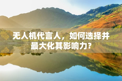 无人机代言人，如何选择并最大化其影响力？