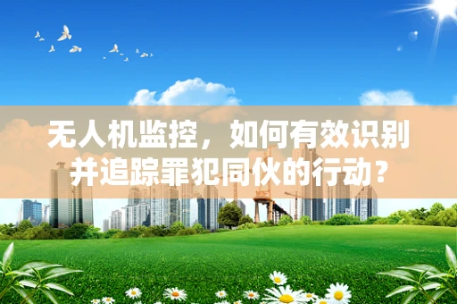 无人机监控，如何有效识别并追踪罪犯同伙的行动？
