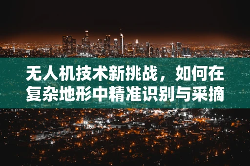 无人机技术新挑战，如何在复杂地形中精准识别与采摘山楂？