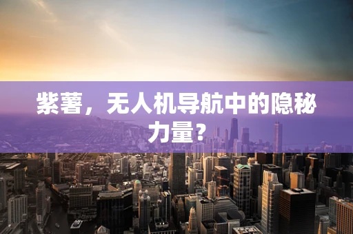 紫薯，无人机导航中的隐秘力量？