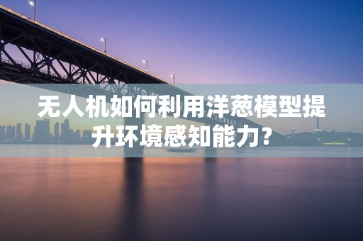 无人机如何利用洋葱模型提升环境感知能力？