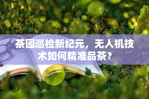 茶园巡检新纪元，无人机技术如何精准品茶？