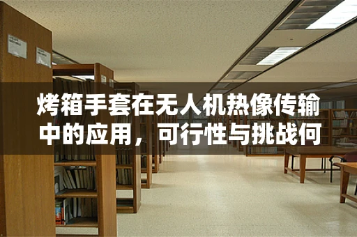 烤箱手套在无人机热像传输中的应用，可行性与挑战何在？