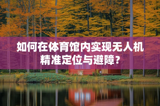 如何在体育馆内实现无人机精准定位与避障？