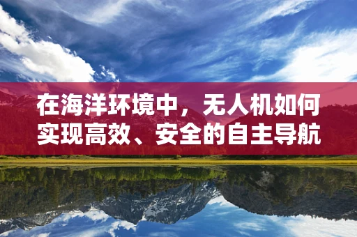 在海洋环境中，无人机如何实现高效、安全的自主导航？