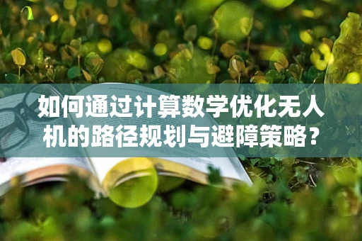 如何通过计算数学优化无人机的路径规划与避障策略？
