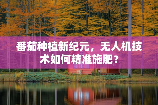 番茄种植新纪元，无人机技术如何精准施肥？