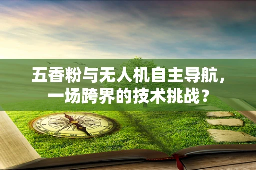 五香粉与无人机自主导航，一场跨界的技术挑战？