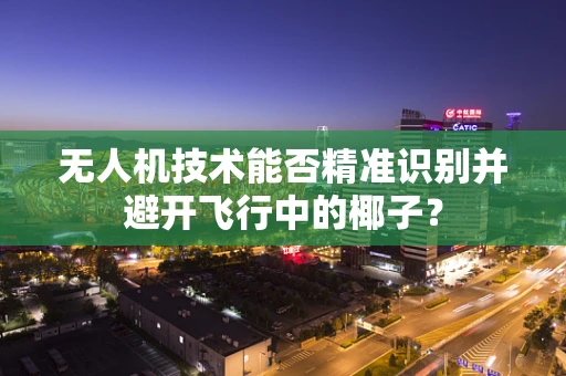 无人机技术能否精准识别并避开飞行中的椰子？