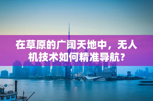 在草原的广阔天地中，无人机技术如何精准导航？