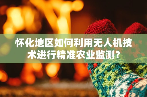 怀化地区如何利用无人机技术进行精准农业监测？