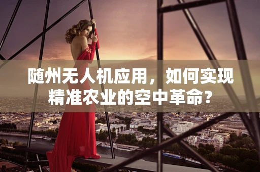 随州无人机应用，如何实现精准农业的空中革命？