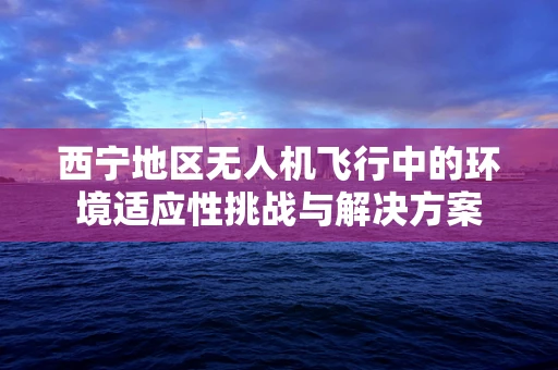 西宁地区无人机飞行中的环境适应性挑战与解决方案