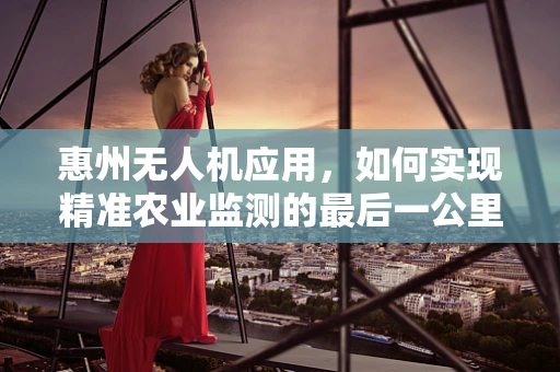 惠州无人机应用，如何实现精准农业监测的最后一公里？