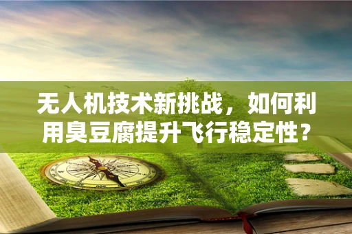 无人机技术新挑战，如何利用臭豆腐提升飞行稳定性？