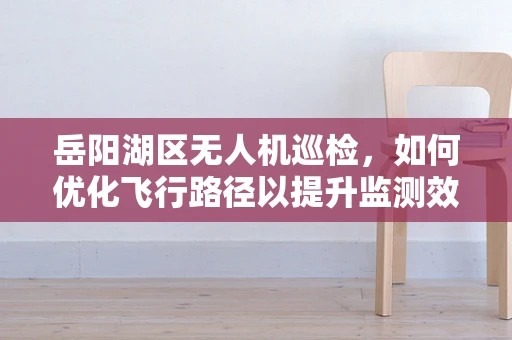 岳阳湖区无人机巡检，如何优化飞行路径以提升监测效率？