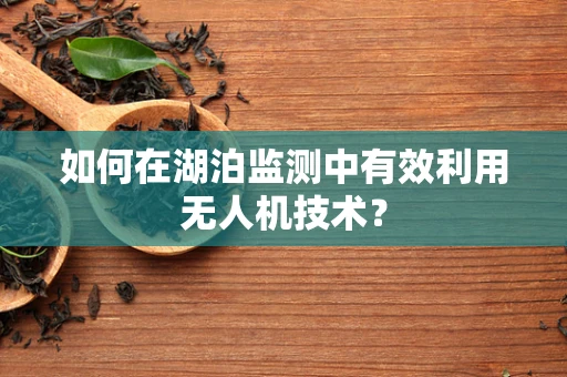 如何在湖泊监测中有效利用无人机技术？