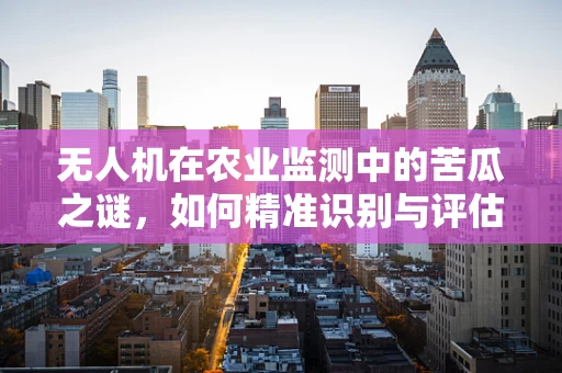 无人机在农业监测中的苦瓜之谜，如何精准识别与评估？