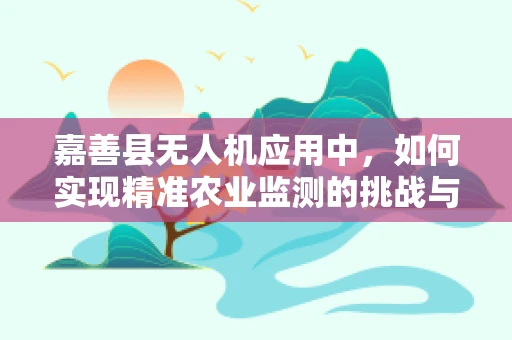 嘉善县无人机应用中，如何实现精准农业监测的挑战与对策？