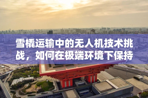 雪橇运输中的无人机技术挑战，如何在极端环境下保持稳定？
