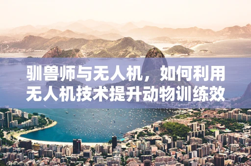 驯兽师与无人机，如何利用无人机技术提升动物训练效率？