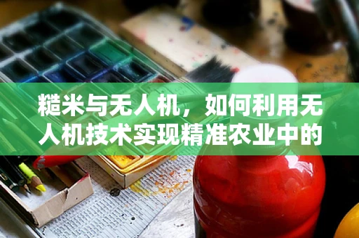 糙米与无人机，如何利用无人机技术实现精准农业中的糙米种植监测？