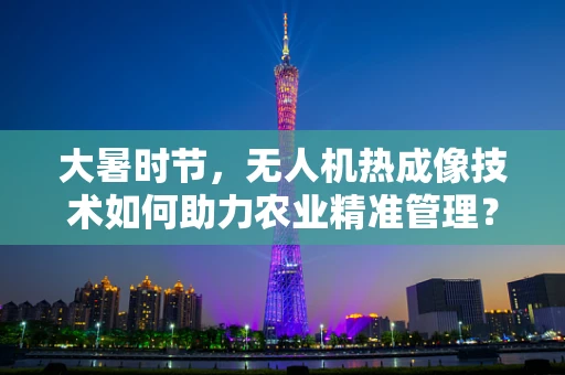 大暑时节，无人机热成像技术如何助力农业精准管理？