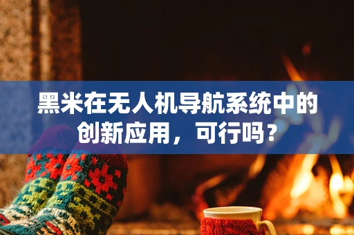 黑米在无人机导航系统中的创新应用，可行吗？