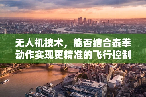 无人机技术，能否结合泰拳动作实现更精准的飞行控制？