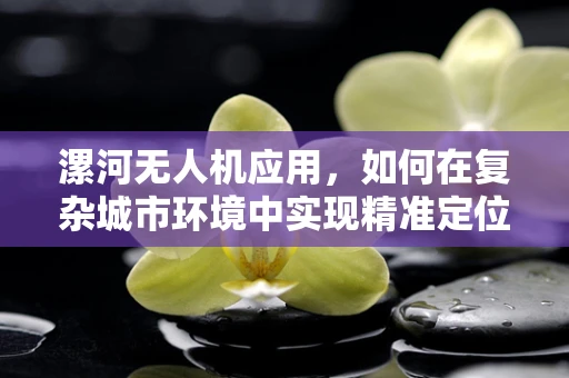 漯河无人机应用，如何在复杂城市环境中实现精准定位与避障？