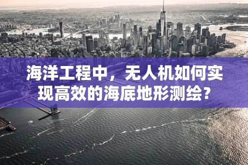 海洋工程中，无人机如何实现高效的海底地形测绘？