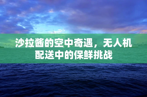 沙拉酱的空中奇遇，无人机配送中的保鲜挑战